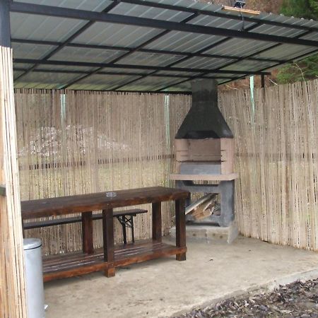 Tiny House Floare De Colt Villa Moeciu De Sus Exterior photo